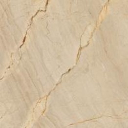 Gạch Trường Thịnh GENESIS SERIES Y88J76P